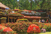 Big Hills of Hope: 7 ดอย Big Hills of Hope: 7 ดอย