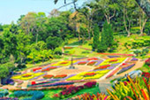 Big Hills of Hope: 7 ดอย Big Hills of Hope: 7 ดอย