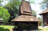 3 วัน 2 คืน ChiangRai Concern 3 วัน 2 คืน ChiangRai Concern