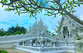 3 วัน 2 คืน ChiangRai Concern 3 วัน 2 คืน ChiangRai Concern