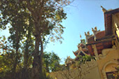 The Corundum: ดอยบุษราคัม The Corundum: ดอยบุษราคัม