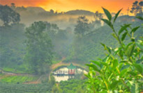 3 วัน 2 คืน: Fog, Negative Ion and Hills 3 วัน 2 คืน: Fog, Negative Ion and Hills