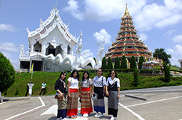 Tea Plantations ไร่ชาหัวใจของทัวร์เชียงราย Tea Plantations ไร่ชาหัวใจของทัวร์เชียงราย