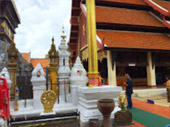 Negative Ion เชียงราย พะเยา ลำปาง Negative Ion เชียงราย พะเยา ลำปาง