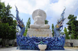 Negative Ion เชียงราย พะเยา ลำปาง Negative Ion เชียงราย พะเยา ลำปาง