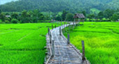 North Weird: 5 วัน 4 คืน North Weird: 5 วัน 4 คืน