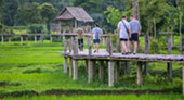 North Weird: 5 วัน 4 คืน North Weird: 5 วัน 4 คืน
