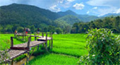 North Weird: 5 วัน 4 คืน North Weird: 5 วัน 4 คืน