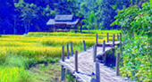 North Weird: 5 วัน 4 คืน North Weird: 5 วัน 4 คืน