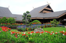 Tea Plantations ไร่ชาหัวใจของทัวร์เชียงราย Tea Plantations ไร่ชาหัวใจของทัวร์เชียงราย