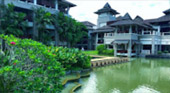 Tea Plantations ไร่ชาหัวใจของทัวร์เชียงราย Tea Plantations ไร่ชาหัวใจของทัวร์เชียงราย