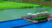 Tea Plantations ไร่ชาหัวใจของทัวร์เชียงราย Tea Plantations ไร่ชาหัวใจของทัวร์เชียงราย