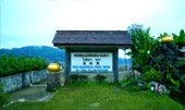 Tea Plantations ไร่ชาหัวใจของทัวร์เชียงราย Tea Plantations ไร่ชาหัวใจของทัวร์เชียงราย