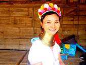Tea Plantations ไร่ชาหัวใจของทัวร์เชียงราย Tea Plantations ไร่ชาหัวใจของทัวร์เชียงราย