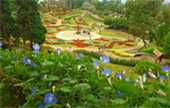 Temple Entertain 12 วัดเชียงราย Temple Entertain 12 วัดเชียงราย