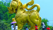 Temple Entertain 12 วัดเชียงราย Temple Entertain 12 วัดเชียงราย