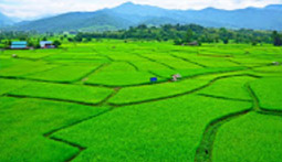 Be Tourist: เชียงราย น่าน ลำปาง Be Tourist: เชียงราย น่าน ลำปาง