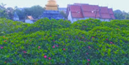 Be Tourist: เชียงราย น่าน ลำปาง Be Tourist: เชียงราย น่าน ลำปาง