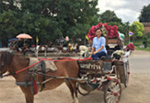Be Tourist: เชียงราย น่าน ลำปาง Be Tourist: เชียงราย น่าน ลำปาง