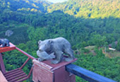 Day Trip On Top : ผจญภัยบนดอย และวัฒนธรรม เชียงราย Day Trip On Top : ผจญภัยบนดอย และวัฒนธรรม เชียงราย