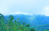 Day Trip On Top : ผจญภัยบนดอย และวัฒนธรรม เชียงราย Day Trip On Top : ผจญภัยบนดอย และวัฒนธรรม เชียงราย