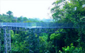 ChiangMai by Design ChiangMai by Design