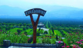 ChiangMai by Design ChiangMai by Design