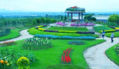 ChiangMai by Design ChiangMai by Design