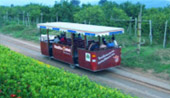 ChiangMai by Design ChiangMai by Design