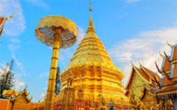 Trip Difference: 4 วัน 3 คืน Trip Difference: 4 วัน 3 คืน