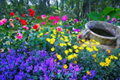 The Flowers 3วัน2คืน The Flowers 3วัน2คืน
