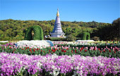 The Flowers 3วัน2คืน The Flowers 3วัน2คืน