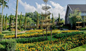 The Flowers 3วัน2คืน The Flowers 3วัน2คืน