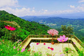 The Flowers 3วัน2คืน The Flowers 3วัน2คืน