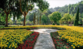 The Flowers 3วัน2คืน The Flowers 3วัน2คืน