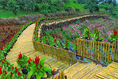 The Flowers 3วัน2คืน The Flowers 3วัน2คืน