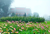 Fog Entertain: เชียงใหม่ Fog Entertain: เชียงใหม่