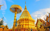 Fog Entertain: เชียงใหม่ Fog Entertain: เชียงใหม่