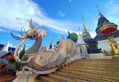 Fog Stalked: เชียงใหม่ 4วัน3คืน Fog Stalked: เชียงใหม่ 4วัน3คืน