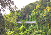 Fog Stalked: เชียงใหม่ 4วัน3คืน Fog Stalked: เชียงใหม่ 4วัน3คืน