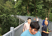 Fog Stalked: เชียงใหม่ 4วัน3คืน Fog Stalked: เชียงใหม่ 4วัน3คืน