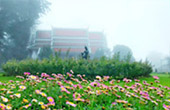 Fog Stalked: เชียงใหม่ 4วัน3คืน Fog Stalked: เชียงใหม่ 4วัน3คืน