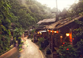 I, Fog flowers..... เชียงใหม่ แม่คำปอง กิ่วฝิ่น I, Fog flowers..... เชียงใหม่ แม่คำปอง กิ่วฝิ่น