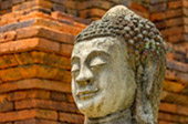 Life Ego เหนือรอบใหญ่ ของ สว Life Ego เหนือรอบใหญ่ ของ สว