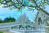 Life Ego เหนือรอบใหญ่ ของ สว Life Ego เหนือรอบใหญ่ ของ สว