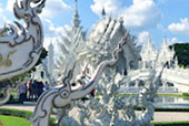 Life Ego เหนือรอบใหญ่ ของ สว Life Ego เหนือรอบใหญ่ ของ สว