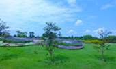 Life Ego เหนือรอบใหญ่ ของ สว Life Ego เหนือรอบใหญ่ ของ สว