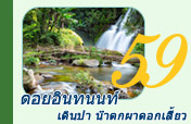 ดอยอินทนนท์ เดินป่าน้ำตกผาดอกเสี้ยว