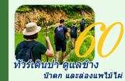 ทัวร์เดินป่า ดูแลช้าง น้ำตก และล่องแพไม้ไผ่