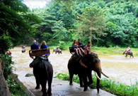 Culture and Nature Culture and Nature